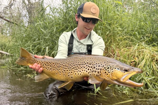 IMG_8640