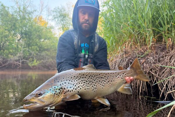 big inland brown trout
